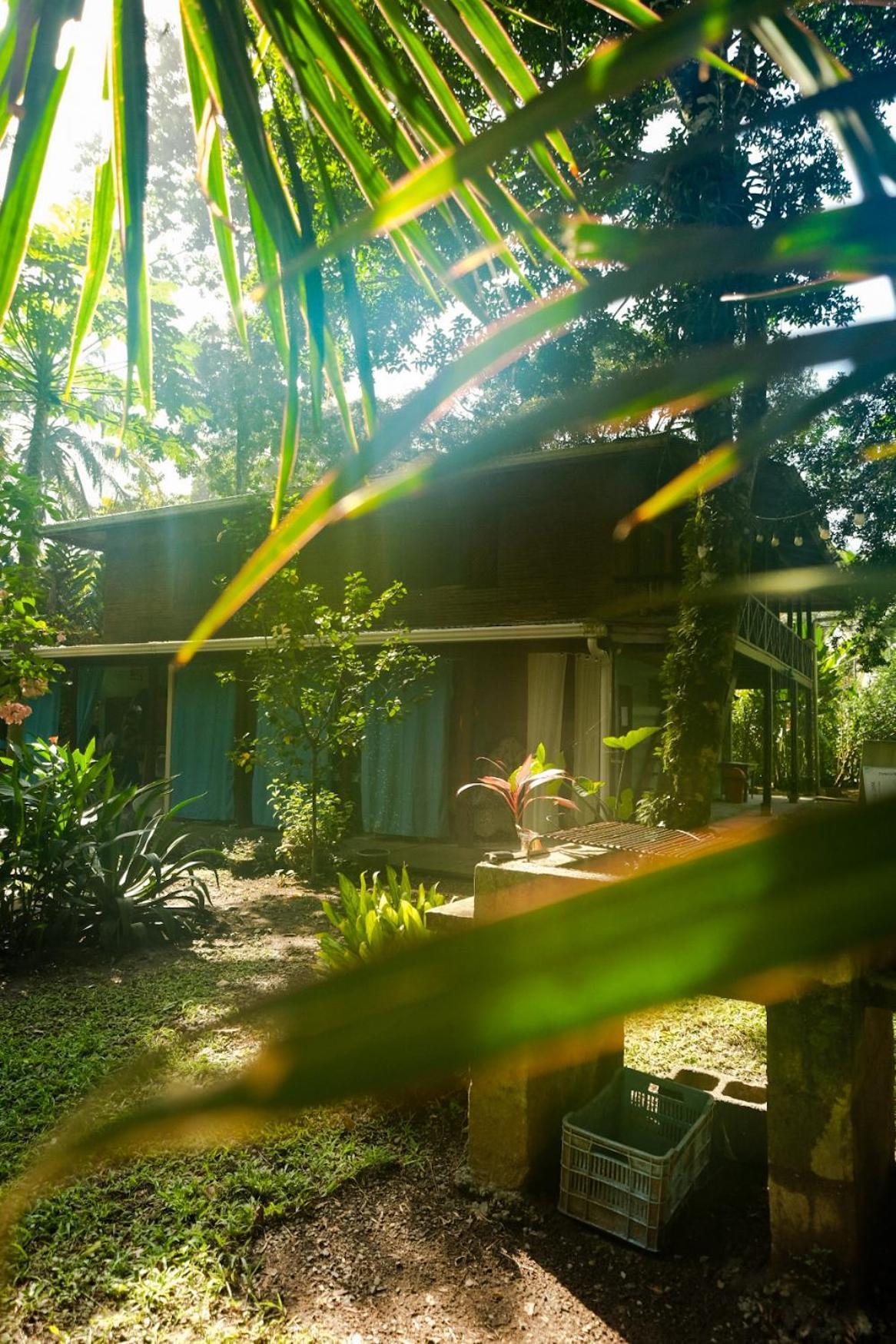 Hotel Casa Aldirica Cahuita Exteriér fotografie